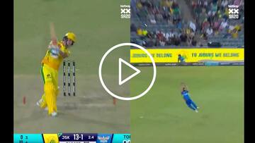 [Watch] Naveen-ul-Haq Defies Physics With Jaw-Dropping Catch In Qualifier 2 Of SA20